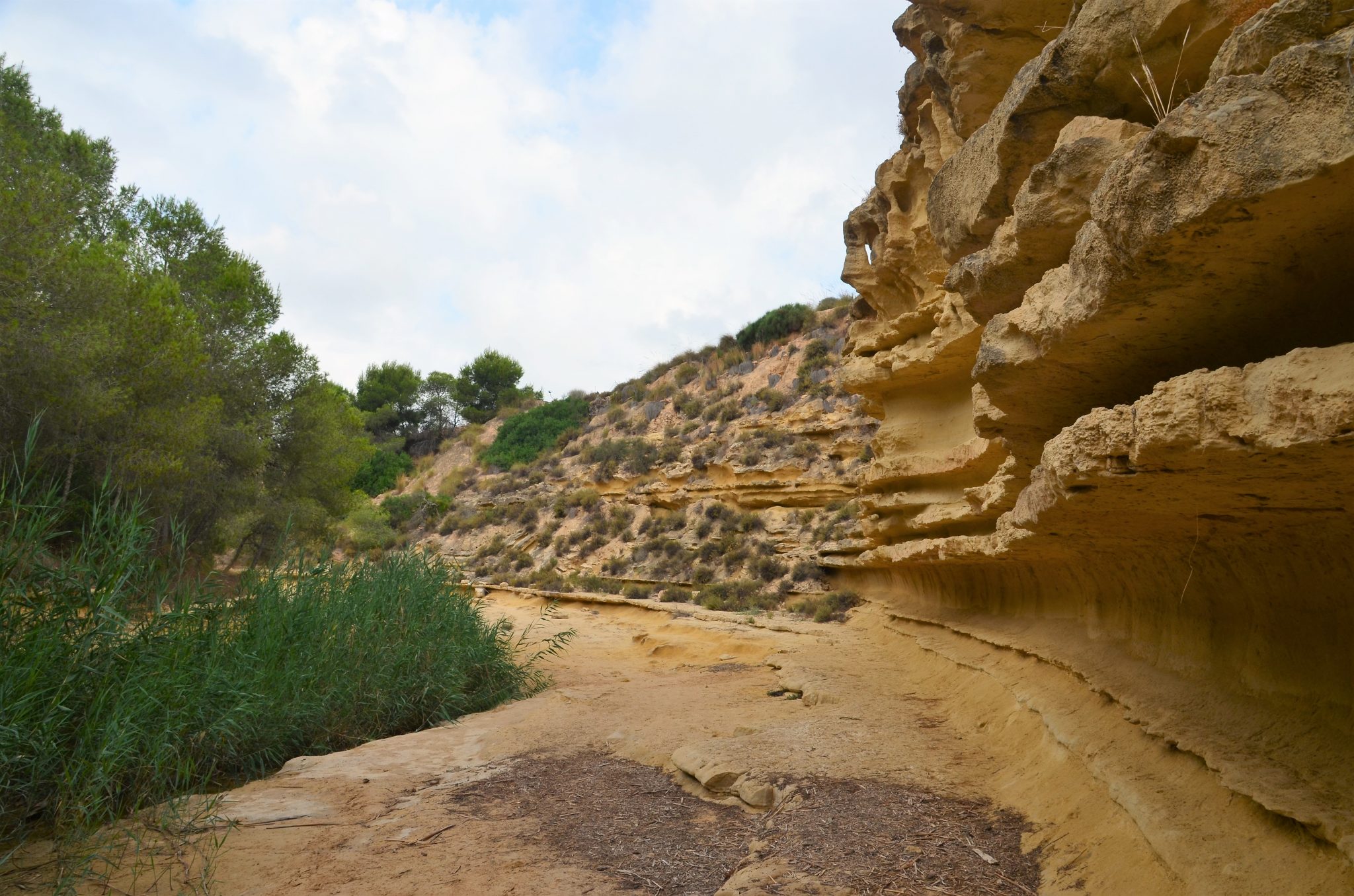 Walking in the dry river of the Rio Seco, Pinar de Campoverde ...